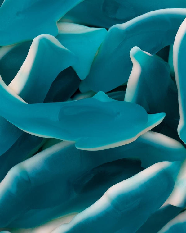 Blauwe haaien (500 g)